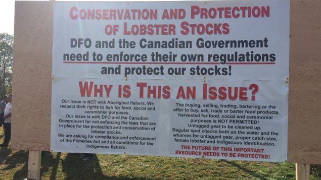 IUU Lobster Fishing and Dumping Must be Stopped Immediately in Canada (Editorial)